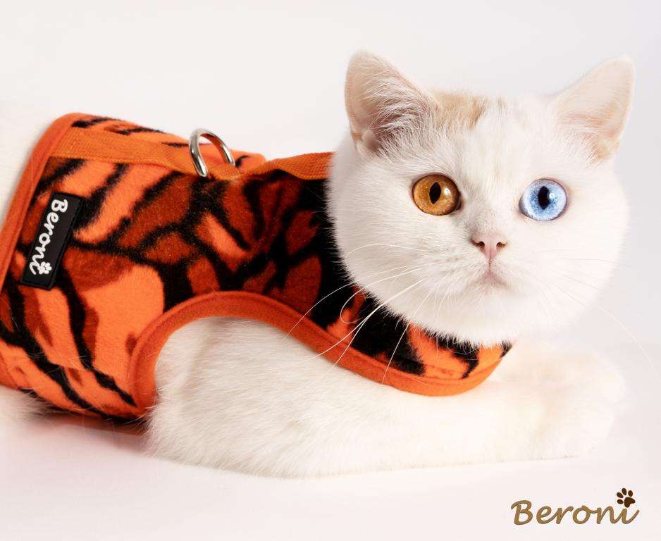 Talacano Kattenharnas Met Riem – Verstelbaar Vest, Ademend, Reflecterend, Voor Kleine Tot Grote Katten