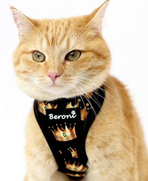 Beroni@ Quick Snap kattentuigje gouden kroon