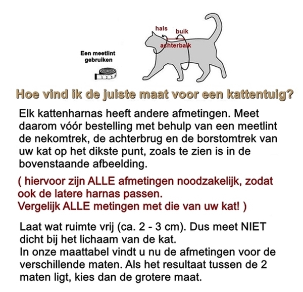 VORLAGE-richtig-messen