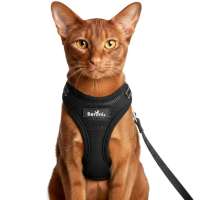 Comfort Plus ontsnappingsvrij kattentuigje set met kattenlijn reflecterend, verstelbaar zwart