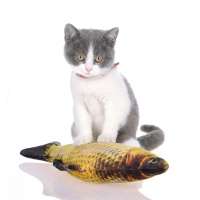 Kattenspeelgoed vissen 3D baars als echt met kattenkruid